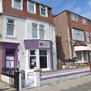 Myroomz Orchid Blackpool